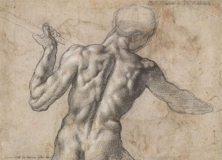 Mužský akt / Michelangelo Buonarroti