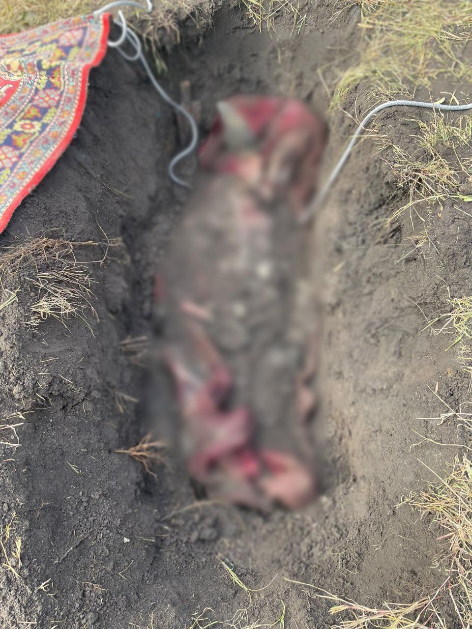 V obci v Charkovskom regióne bolo nájdené telo zakopané na súkromnom pozemku