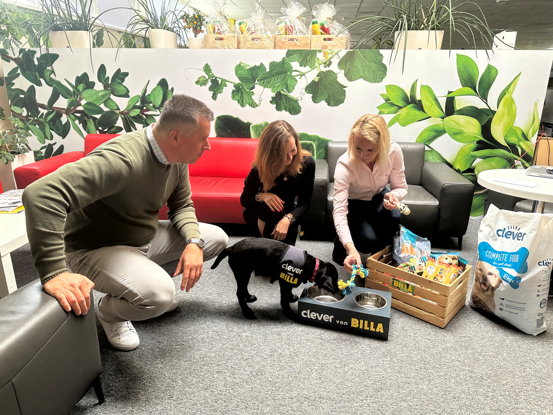 BILLA je patrónom budúceho vodiaceho psa