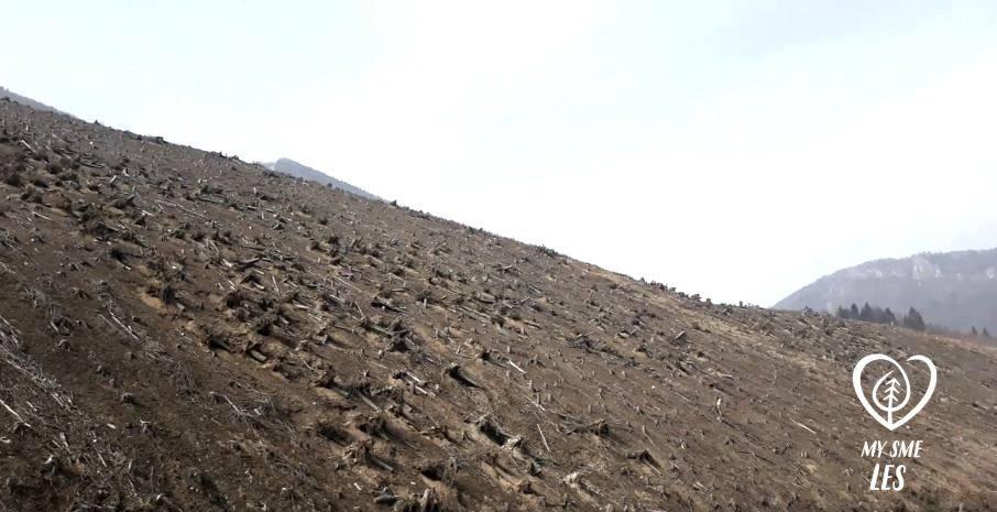 Národný park Malá Fatra, marec 2019