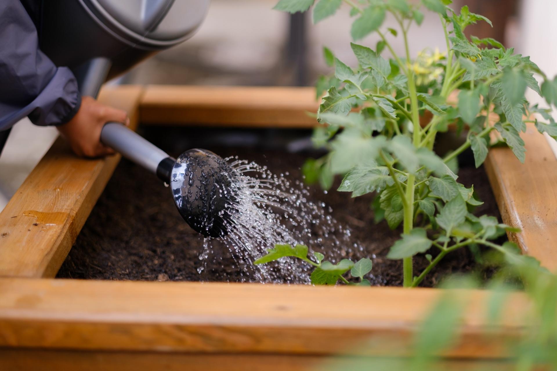 Deti učíme spoznávať nové bylinky, kompostovať, šetriť vodou a chápať, prečo sú včielky pre prírodu také dôležité