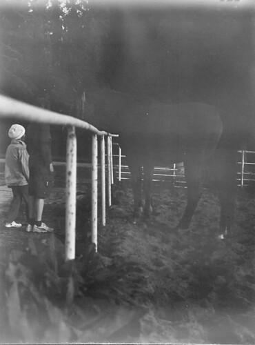 Děti u ohrady s koněm foto: Michal Kalhous