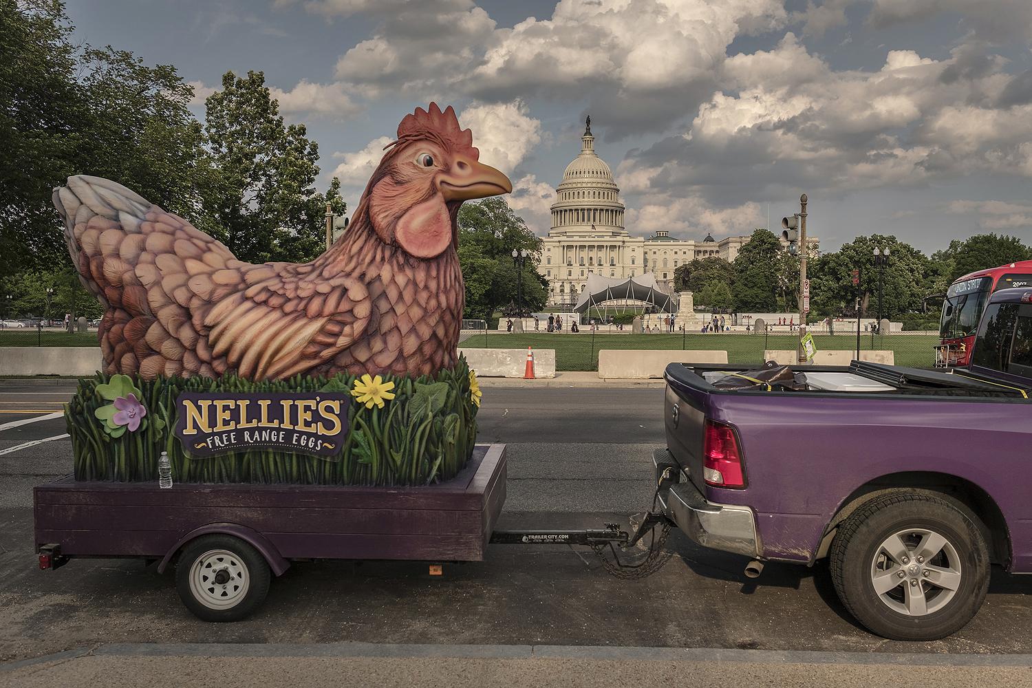 2018 USA: WASHINGTON, United States Capitol.