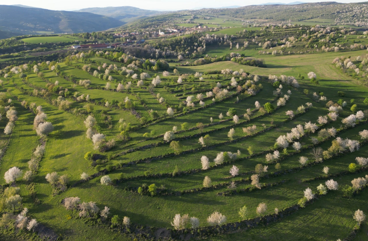 Pohľad na ekofarmu AB Laz na Ábelovej v okrese Lučenec.