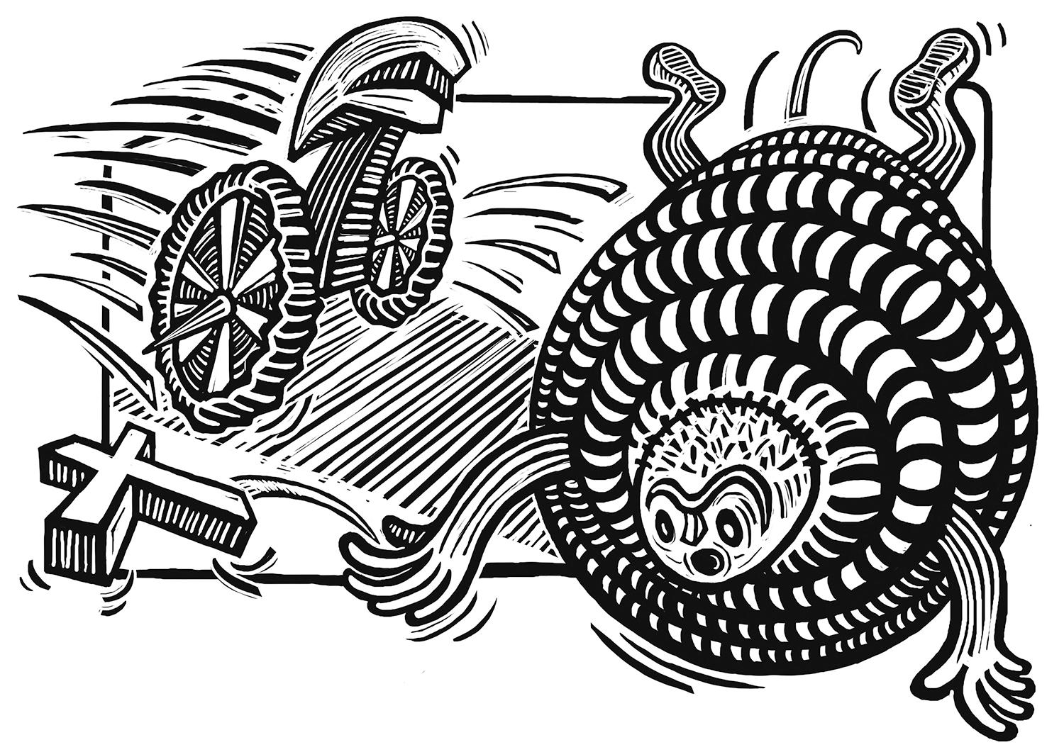 Ilustrácia k novele Jaro kriplů.