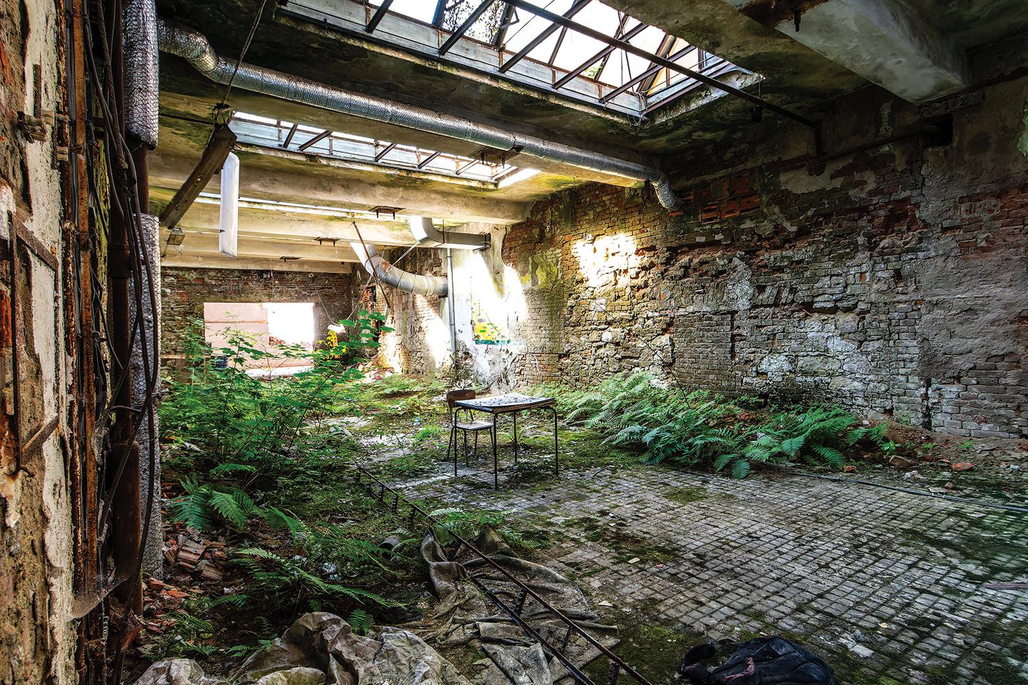 V bývalej arche záchrany Schindlerových Židov sa dobre darí zeleni.