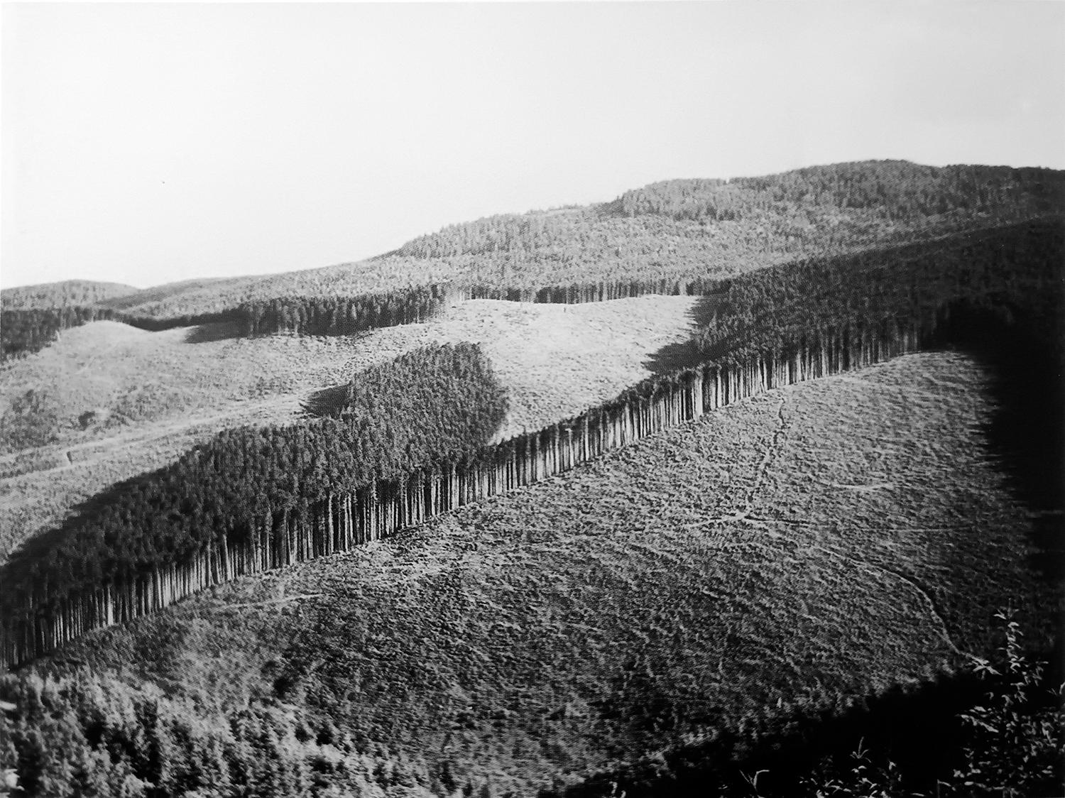 Na juh od Spišskej Novej Vsi, 1935.