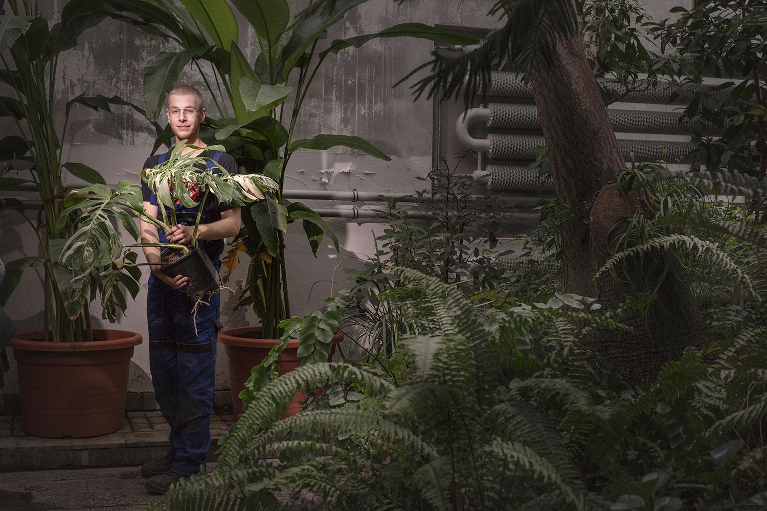 V Botanickej záhrade UK pracuje Noro Zlámal, drží dnes obľúbenú rastlinu Monstera deliciosa „Variegata“, ktorá je vzácna sfarbením dobiela.