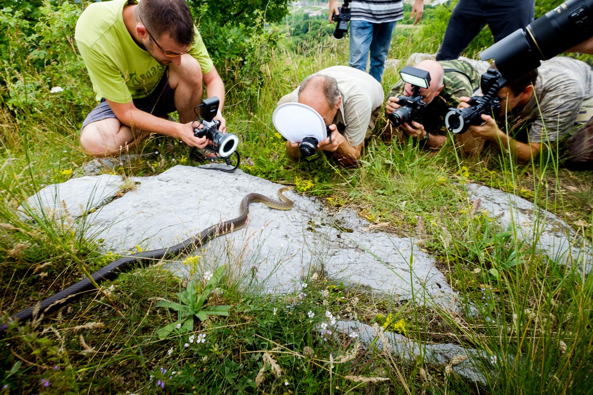 Workshop Makro fotografia v prírode.