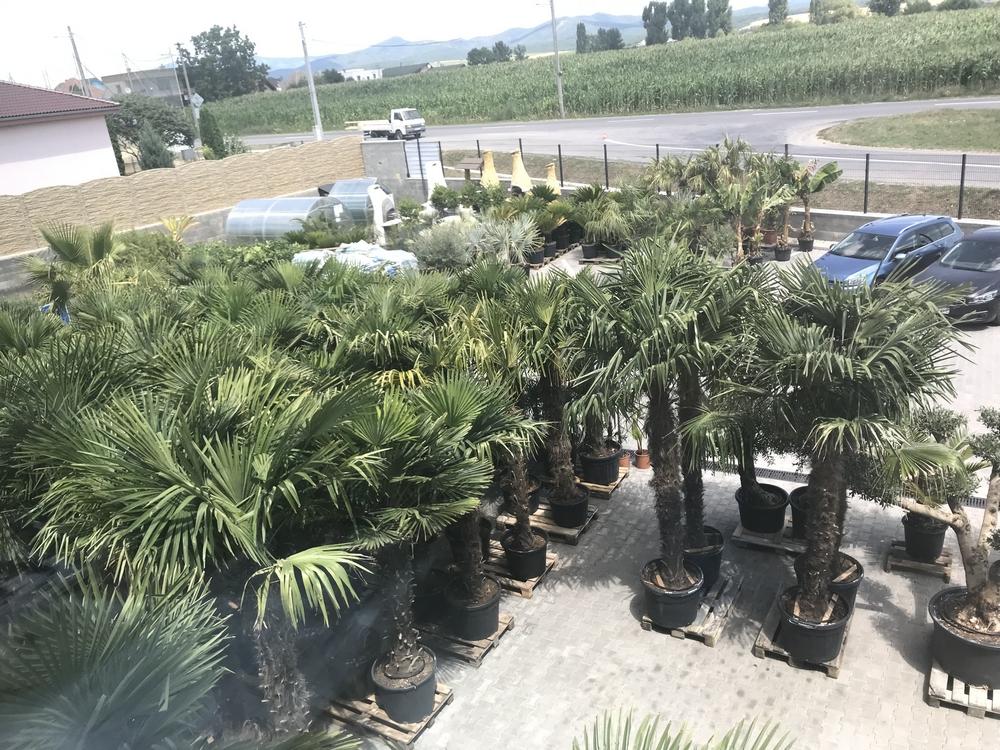 Exotická záhrada TUMA