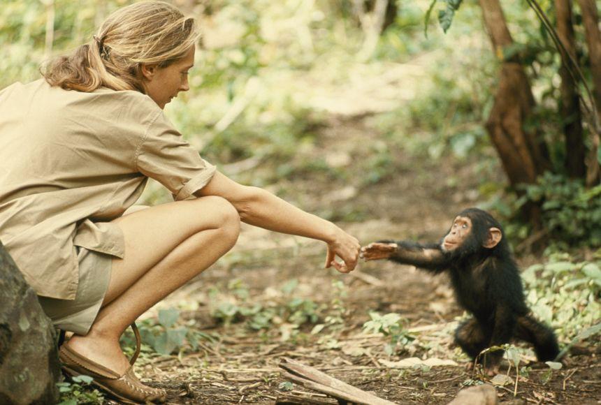 Jane Goodall v mladom veku