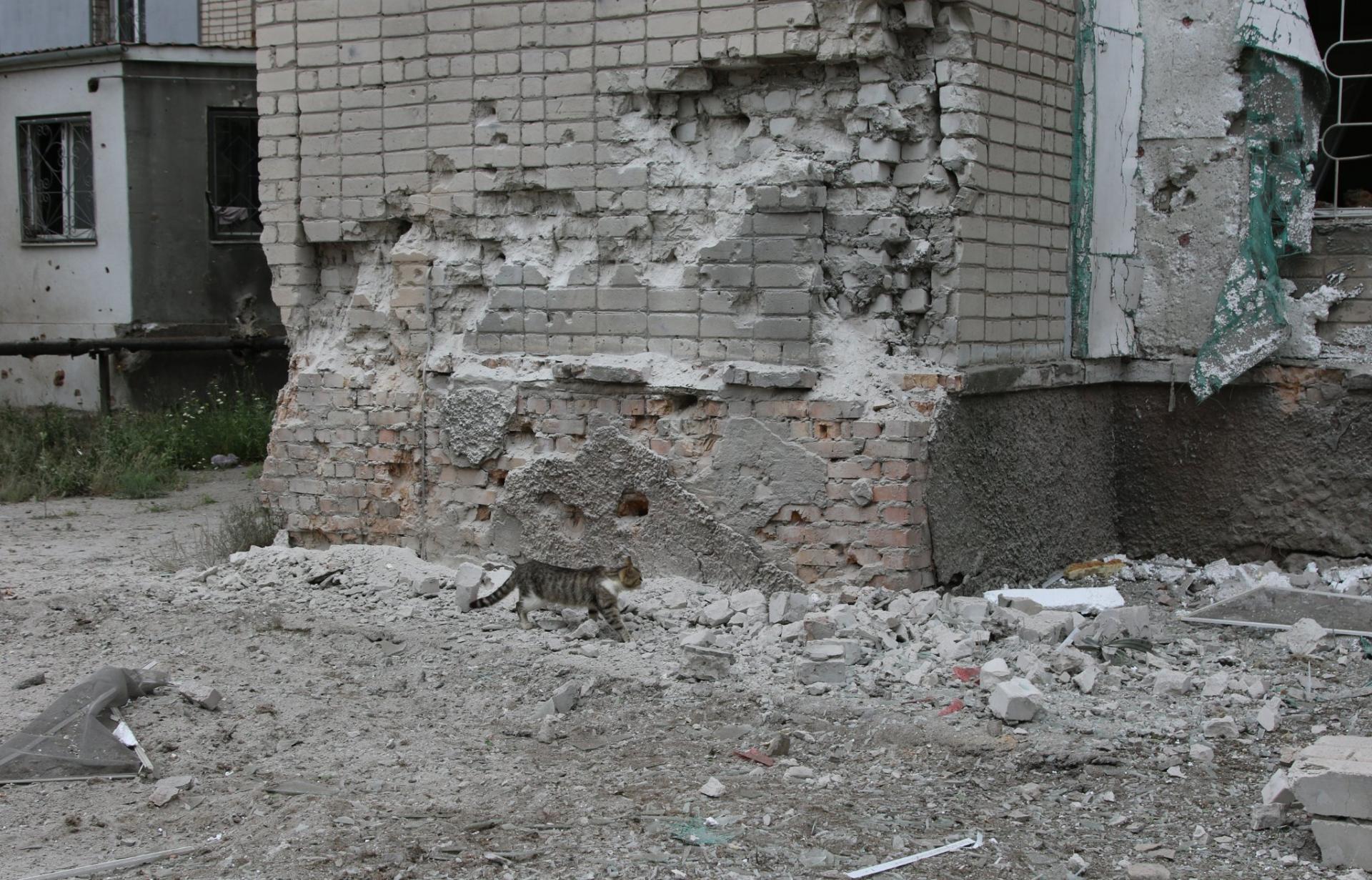 Mykolajiv, ruské delostrelectvo poškodilo výškové budovy a detský športový komplex (1).
