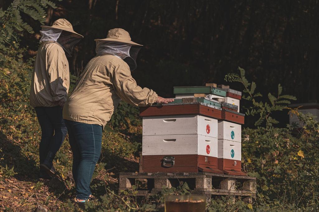 Projekt Učíme sa od včiel III. rozbehol vzdelávanie a šírenie povedomia o včelách a včelárení