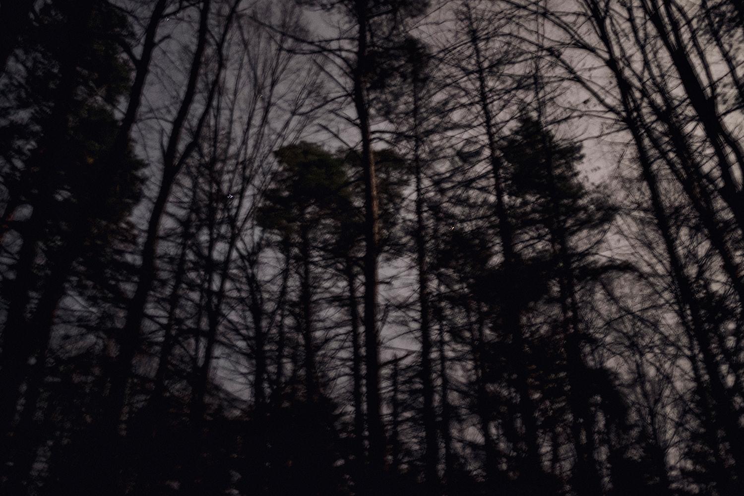 Posledný európsky prales nachádzajúci sa na poľsko-bieloruskej hranici je dnes miestom najväčšej utečeneckej krízy EÚ od roku 2015.