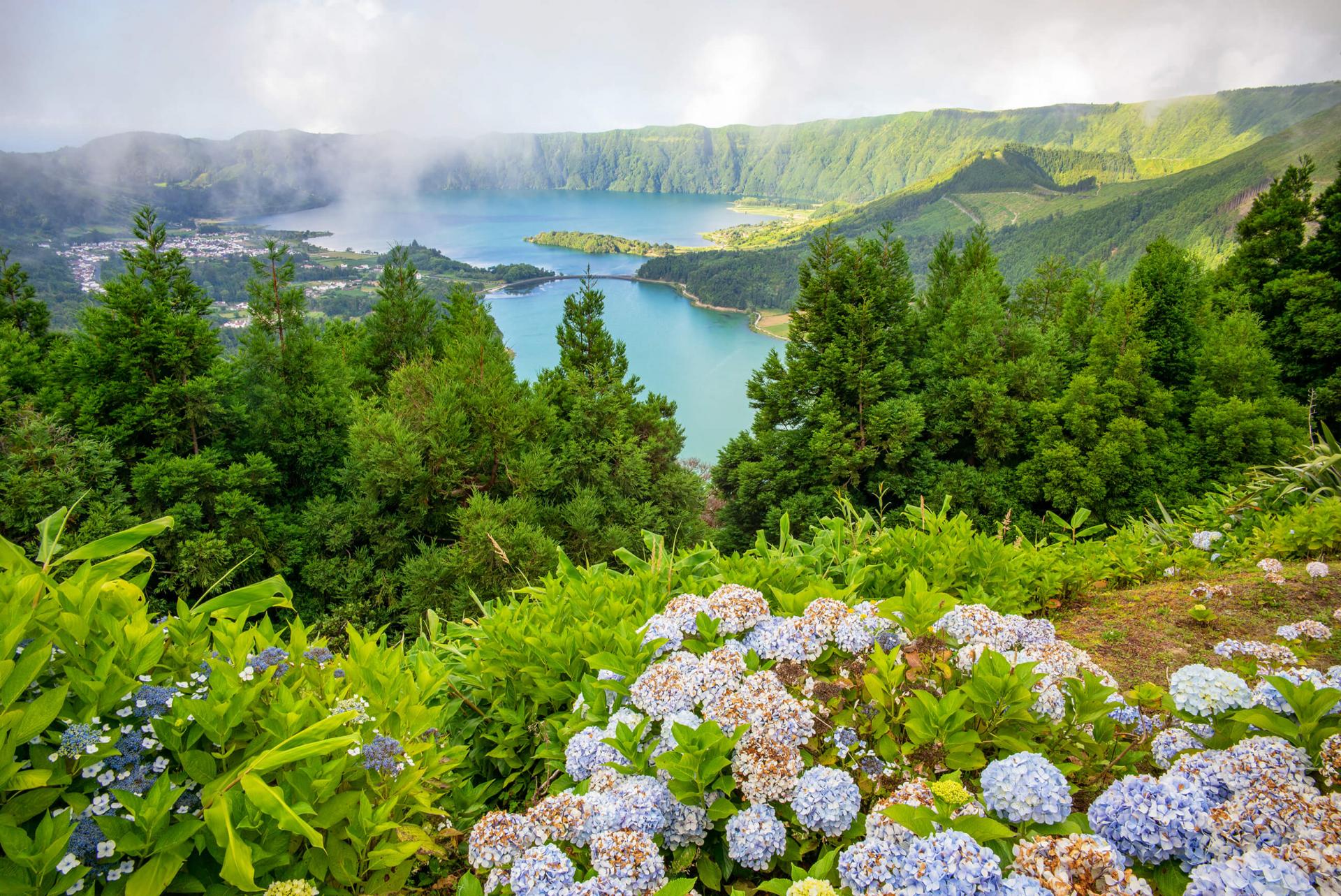 Charakteristika Azorov dvoma slovami? Hortenzie a kravy.
