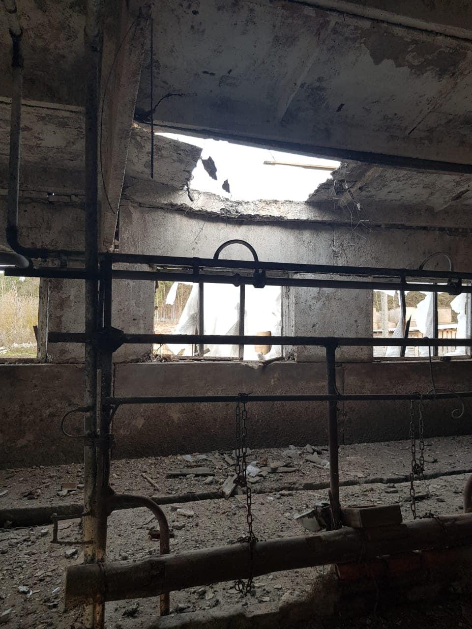 Semenivka, Černihovská oblasť: Po útoku uhynulo 48 kusov dobytka a budovy ostali zničené