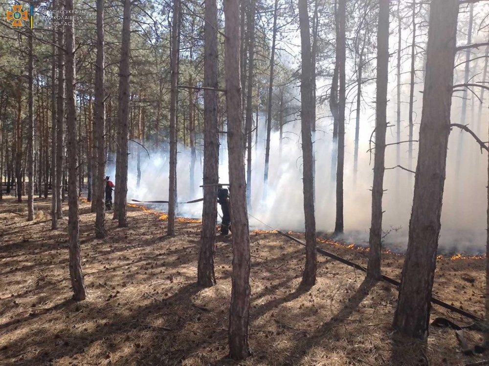 Blízko mesta Mykolajiv museli hasiči zápasiť s ohňom vzniknutom po intenzívnom ostreľovaní