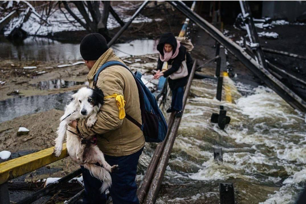 Yasnohorodka, dobrovoľníci evakuujú zvieratá z farmy