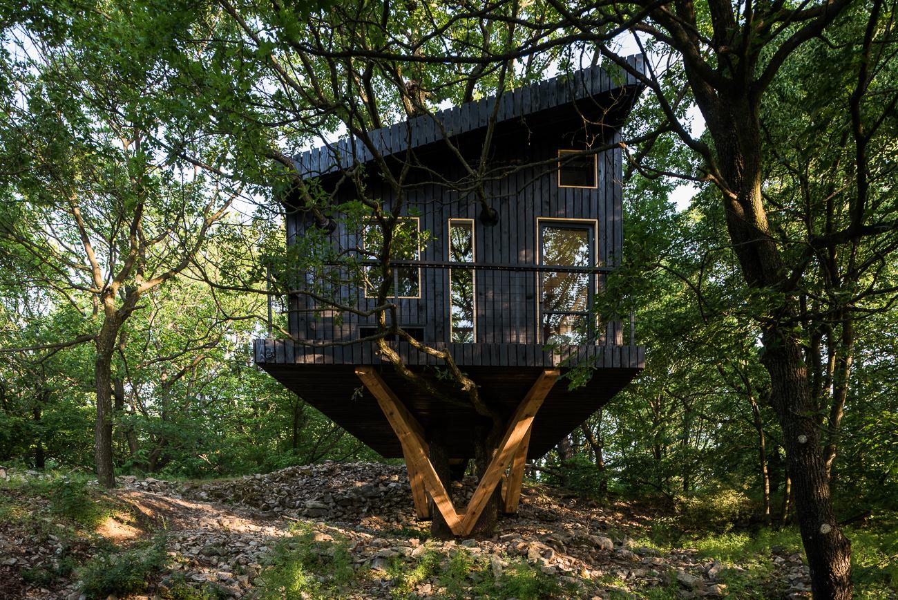 Dom na strome stojí v náletovom lese pri Svätom Juri. 