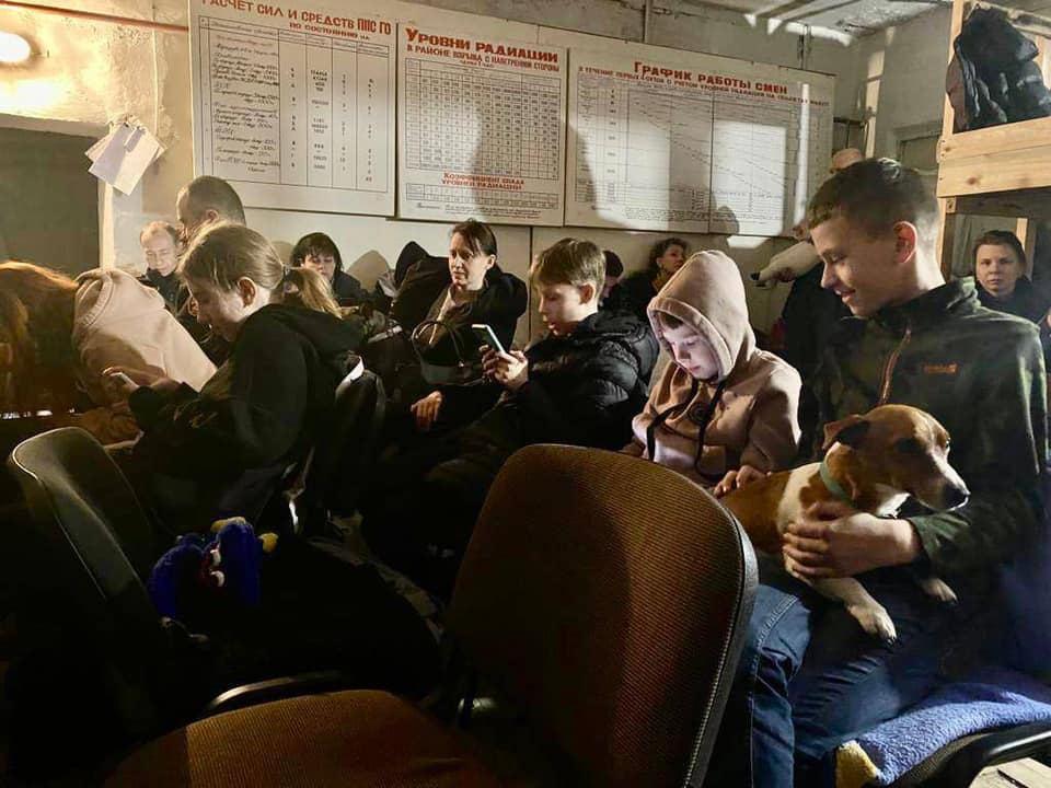 Černihivský pes Patron našiel asi 150 výbušných zariadení, ktoré zanechala ruská armáda od začiatku vojny