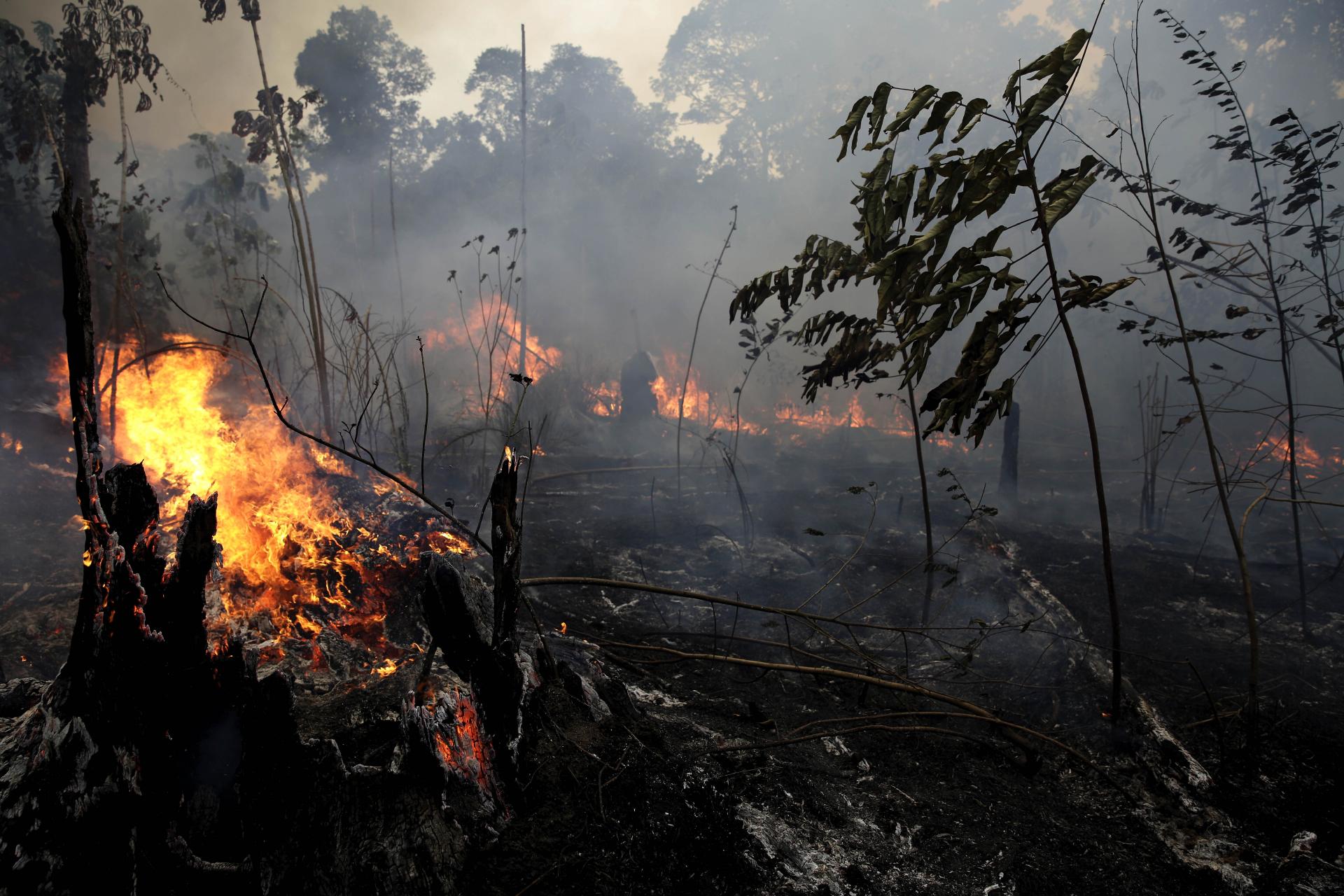 26. august 2019 Jacunda National Forest, Brazília: Oheň v Amazonskom pralese pomáhala hasiť aj armáda, pomôcť chceli viaceré krajiny.