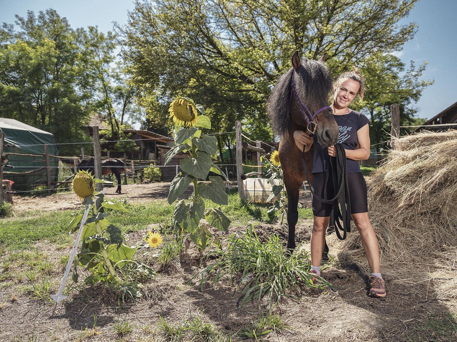 Plemenný žrebec je ako živé striebro, je stále v pohybe. Trénerka Iveta to však s koňmi vie a žrebec sa nechal zvečniť na fotografii.