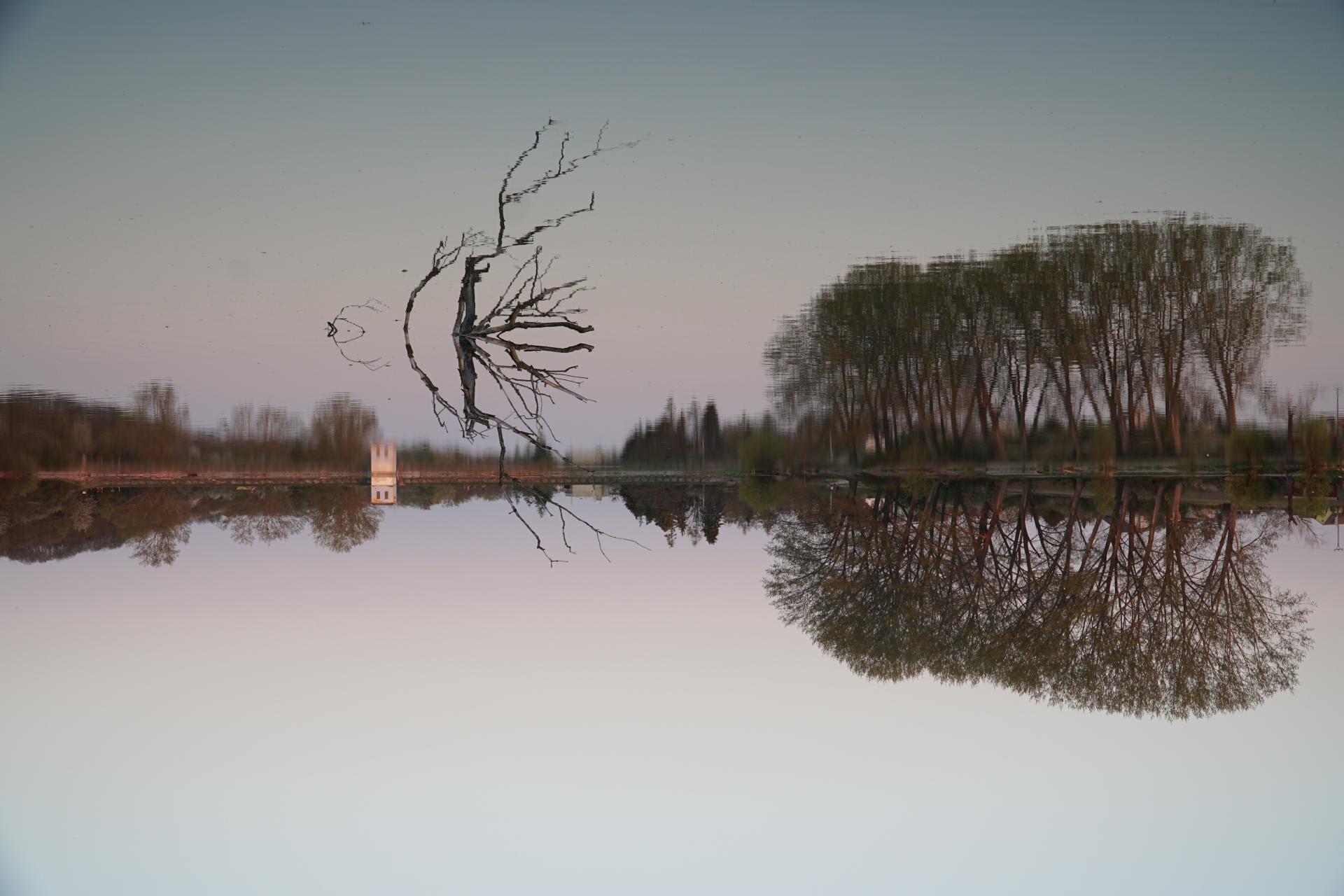 Karanténa, Nový deň / New day, 2020