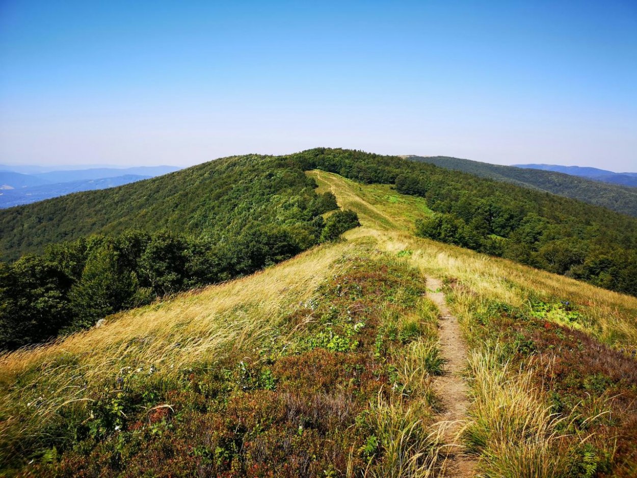Proti návrhu zonácie Polonín sa okrem ochranárov a verejnosti postavili už aj vedci