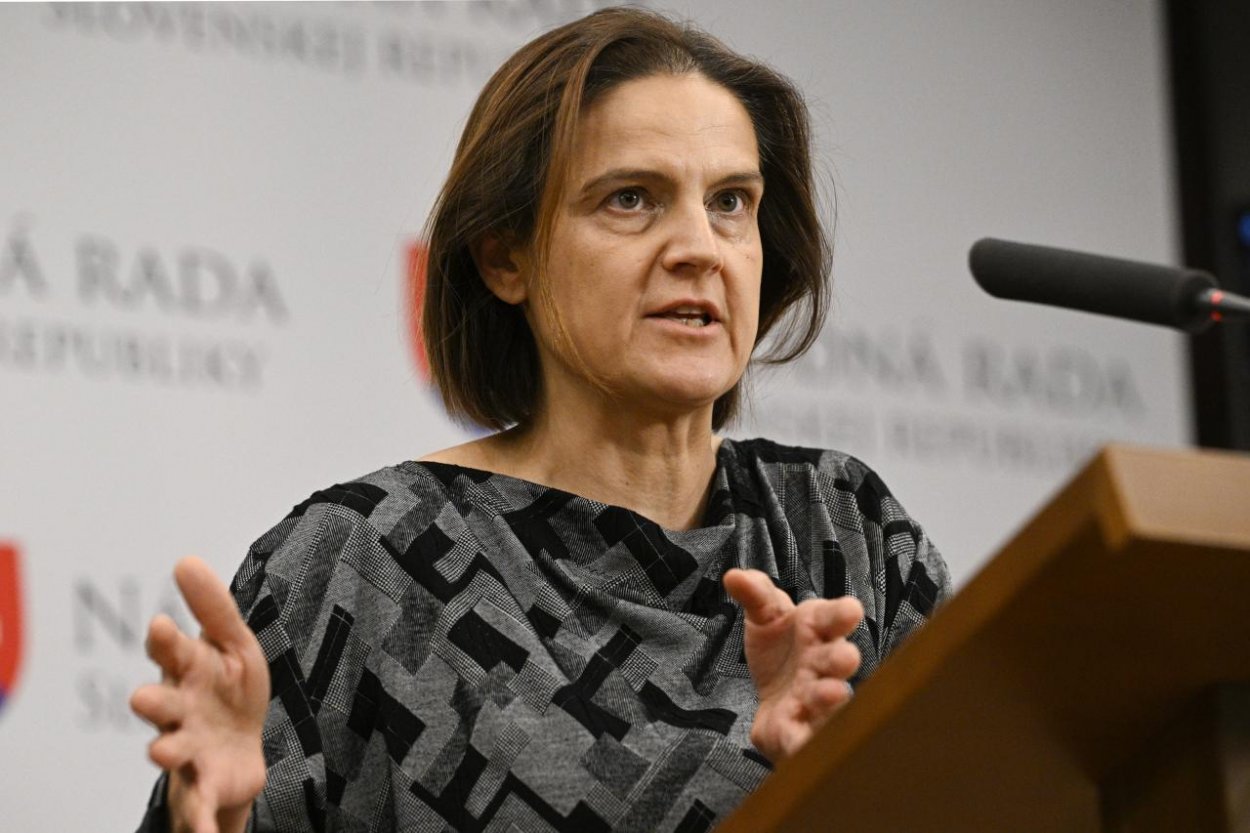 SaS podáva pre nerokovanie o návrhoch na odvolávanie vlády trestné oznámenie