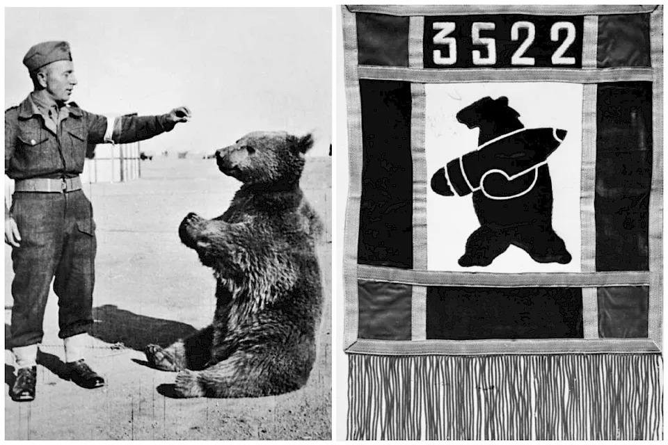 Slávny desiatnik, medveď Wojtek