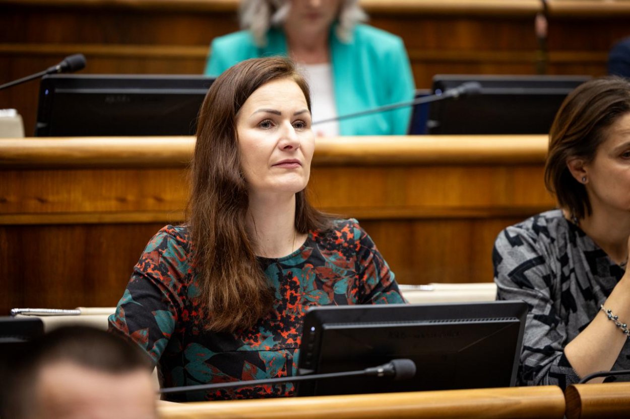 Holečková: Zásoby ropy sa míňajú a vláda nevyužila dostupné alternatívy na jej zabezpečenie 