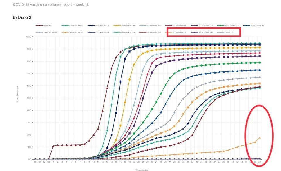 Dáta bez pátosu: Školy ako semenište vírusov