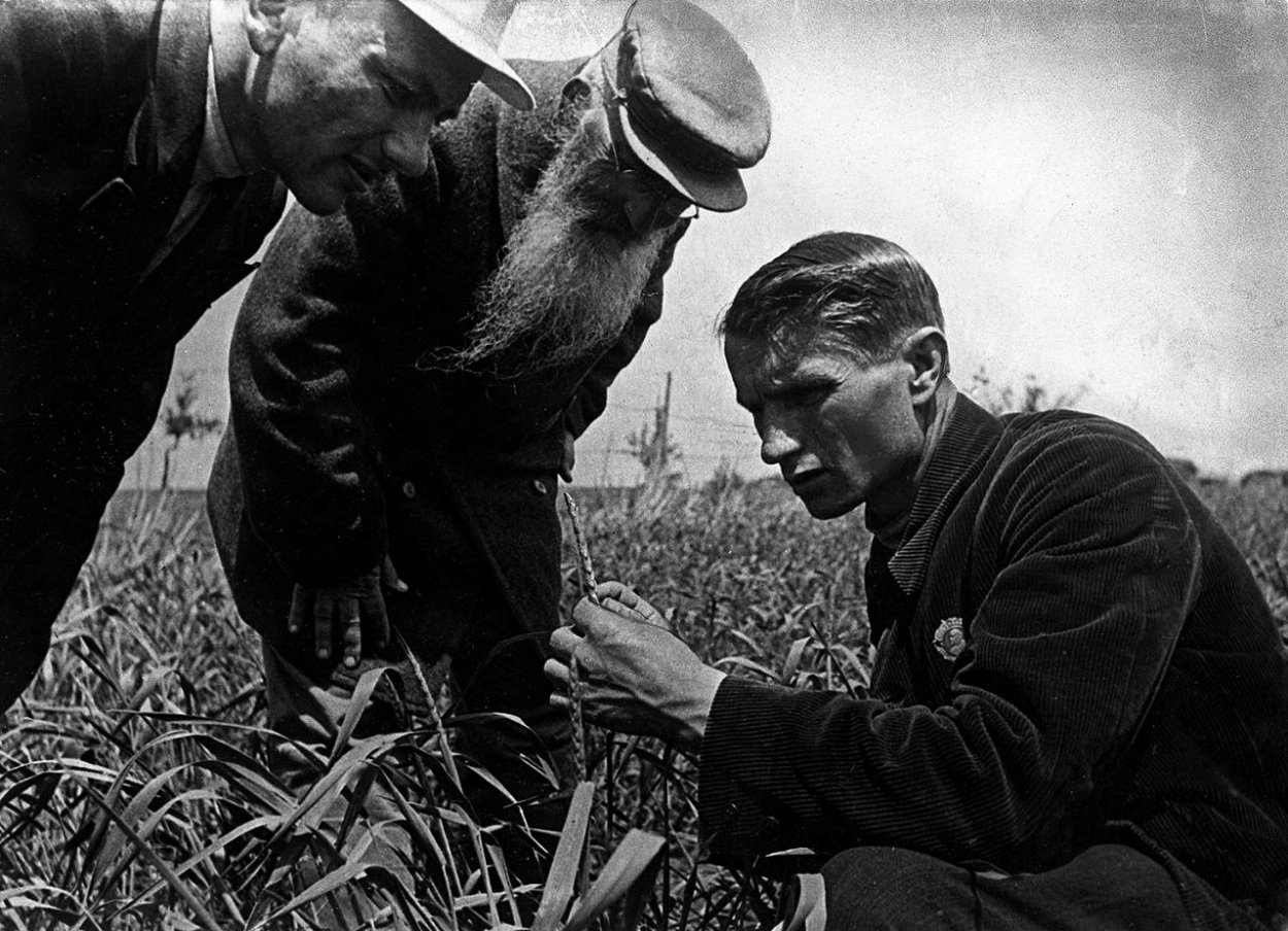 Ako Sovietsky zväz vyhlásil genetiku za buržoáznu pavedu