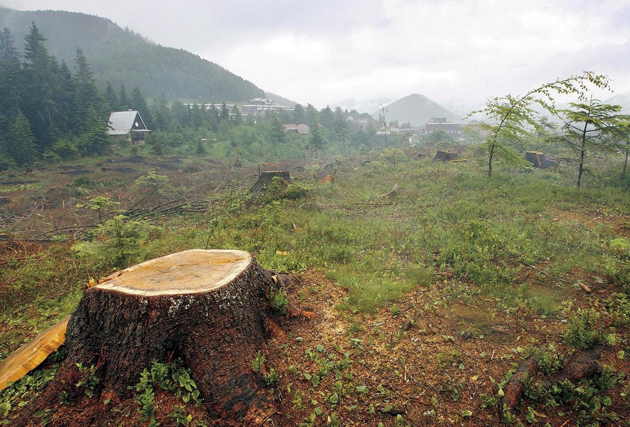 My sme les. Kto sú oni?