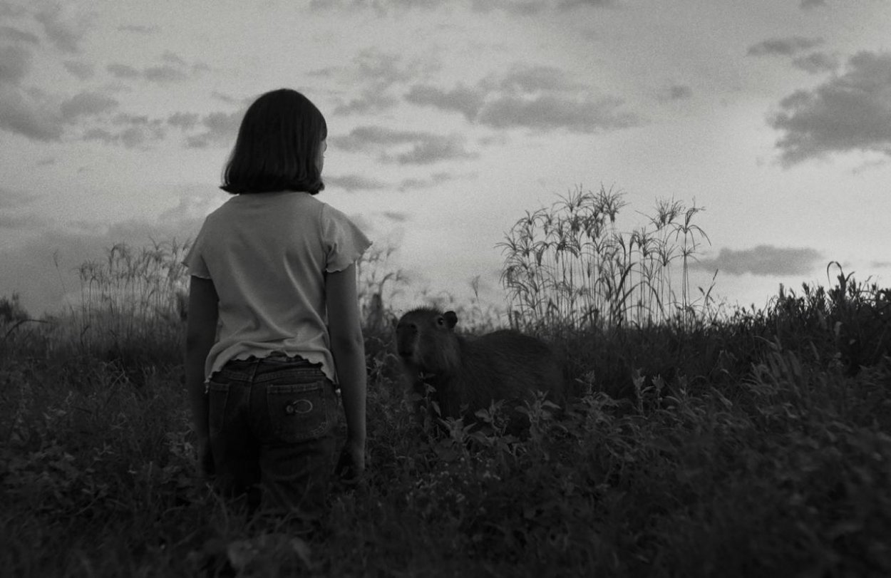 Správa: Film o dievčati, ktoré hovorí so zvieratami, aj o dospelých, ktorí z toho žijú 