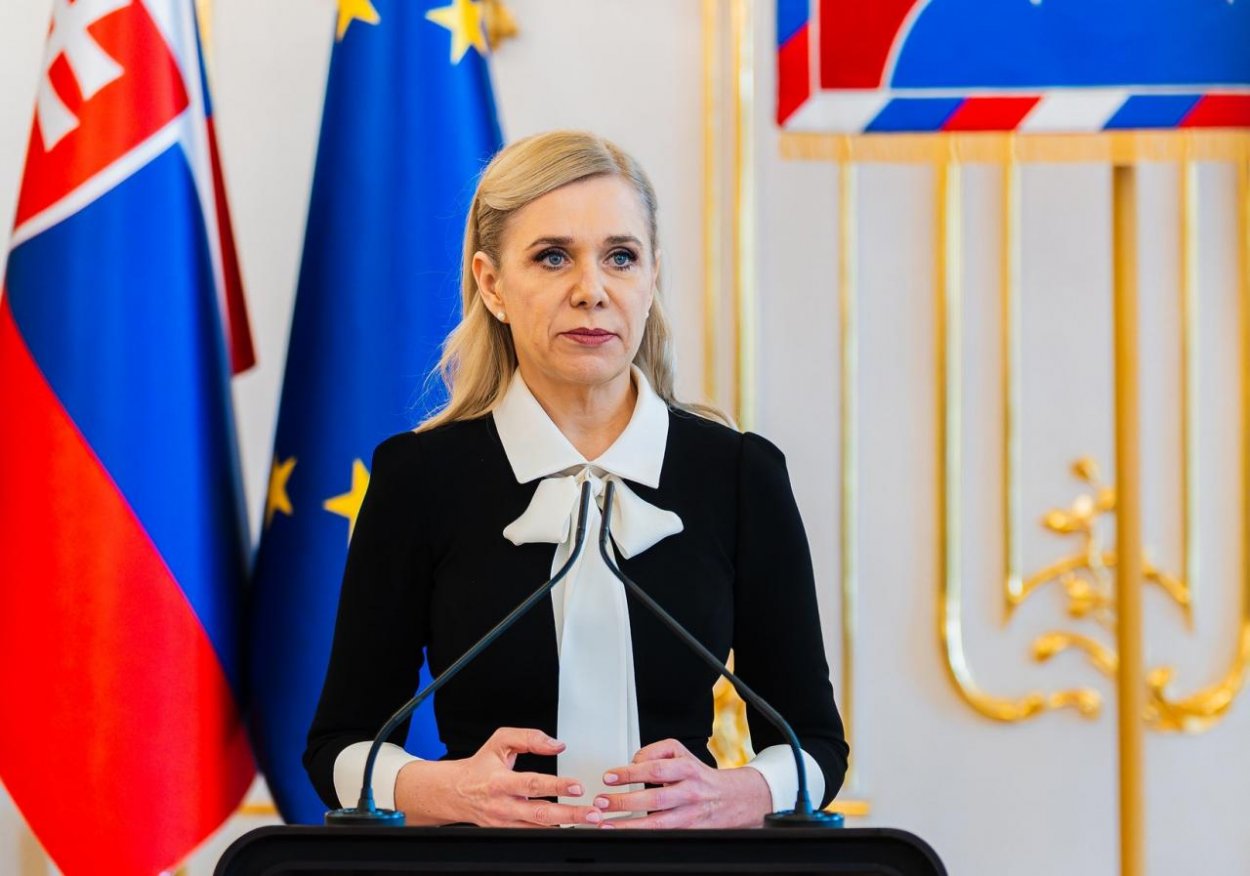 SaS kritizuje zvýšenie poplatkov za prepravu plynu od mája, Saková sa mala podľa nich zapojiť do cenového konania