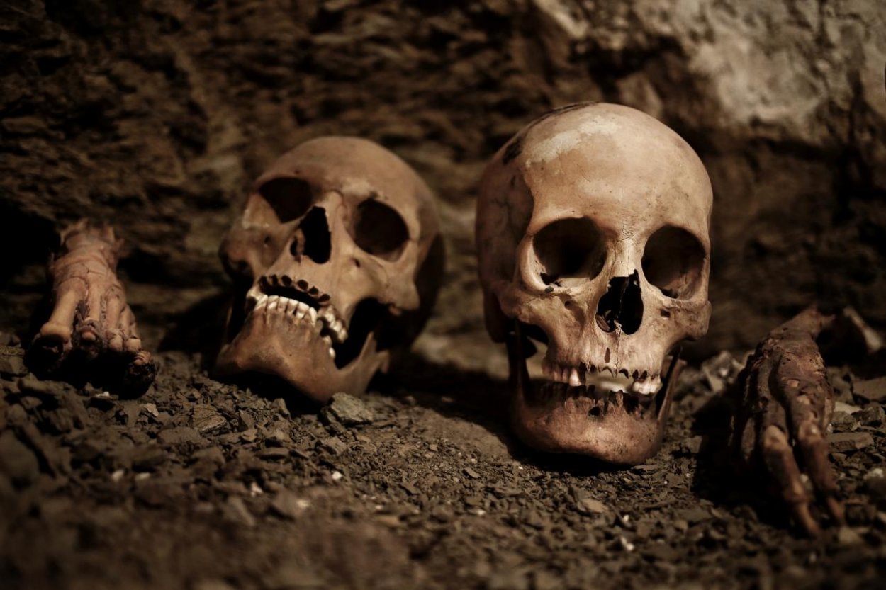 Rozdrvené kosti a zuby odhaľujú ľudskú minulosť. Akú úlohu v tom hrá archeogenetika?