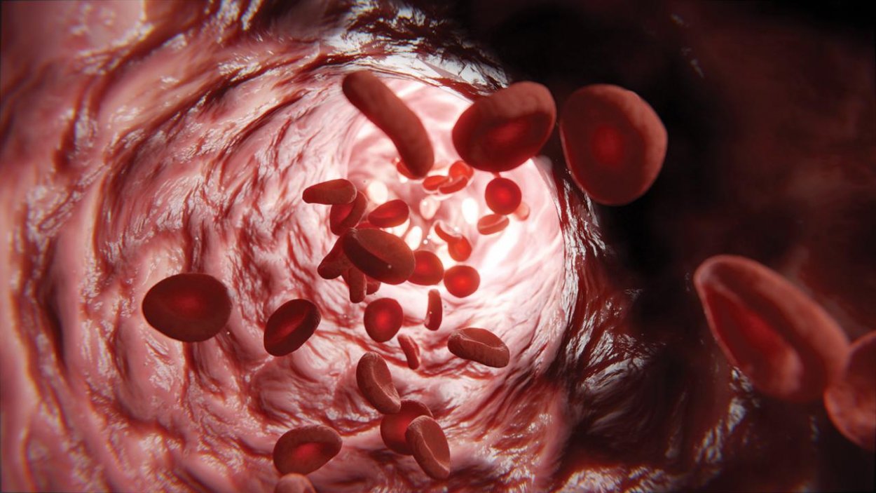 Prečo je krv červená?