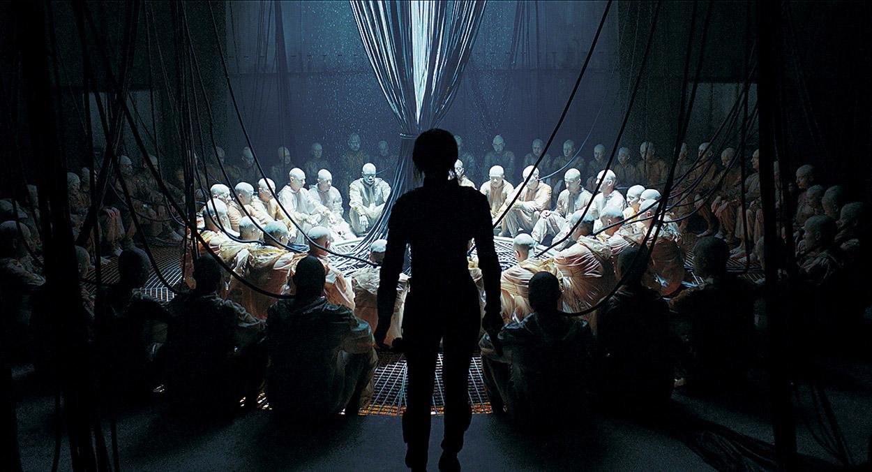 Software v Platónovej jaskyni