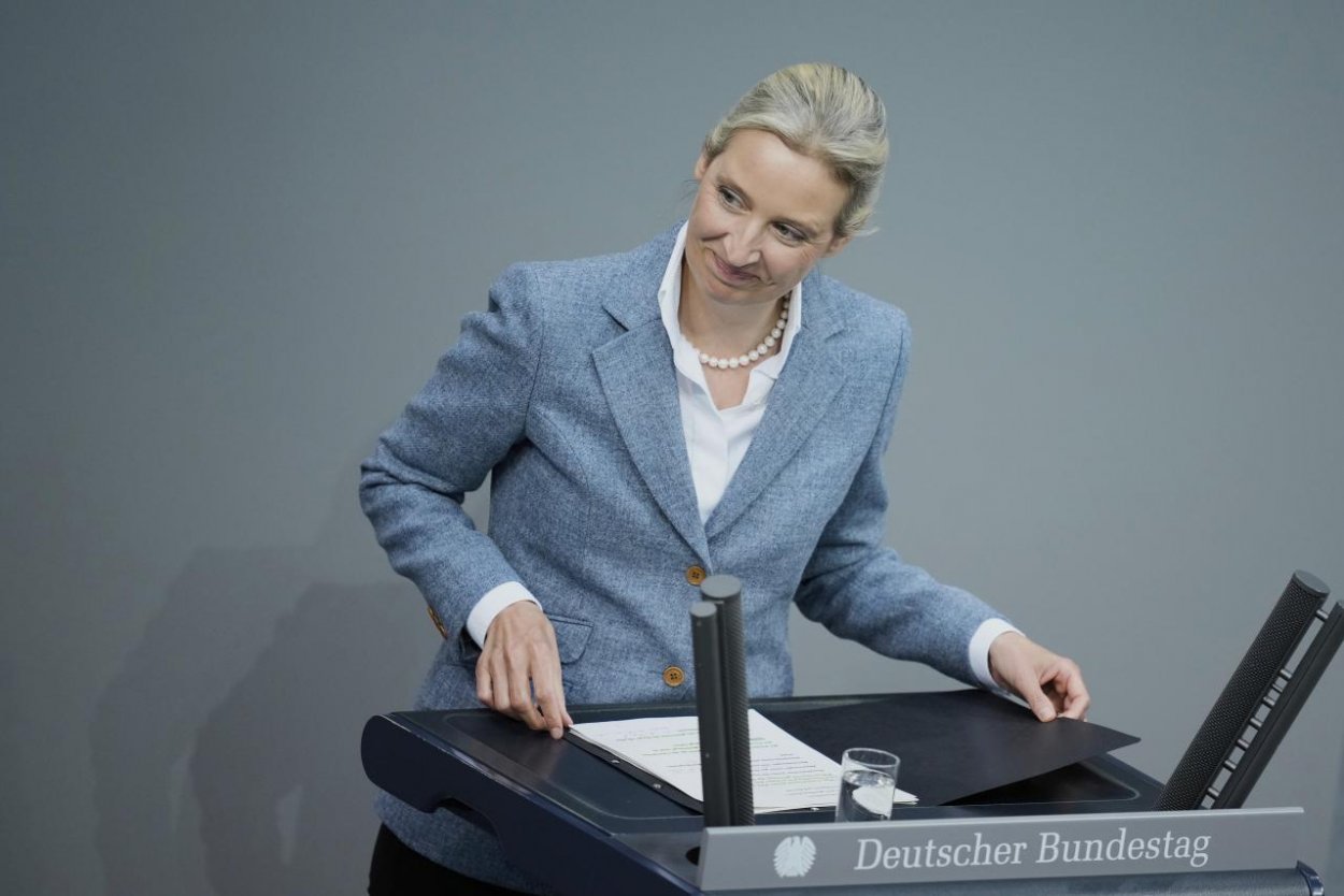 Nemecká kontrarozviedka označila AfD za pravicovo-extrémistickú organizáciu