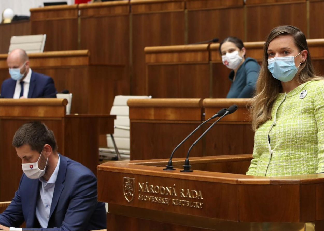 Poslanci si vybrali asistentov. Prácu dostala dcéra zavraždeného Ernesta Valka aj ekonóm Tomáš Meravý