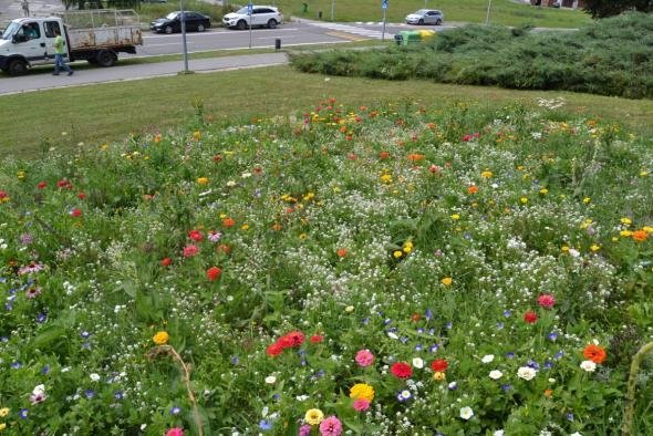 Levice budú šetrnejšie k prírode