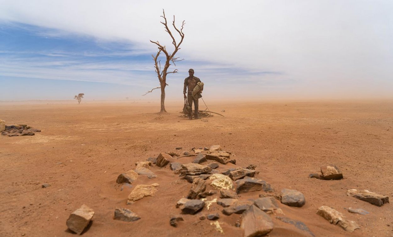 Filmy týždňa: Nervák, animák aj woke Popoluška