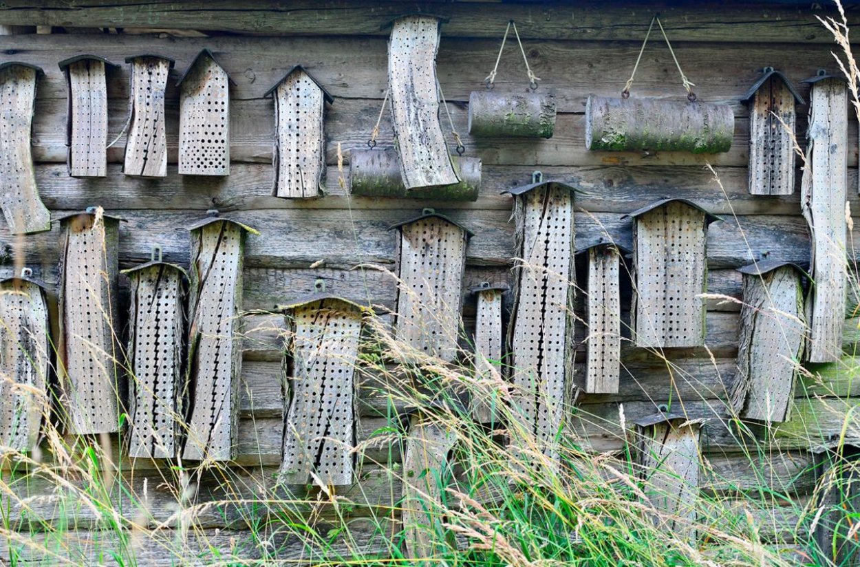 Ako stavať hmyzie hotely