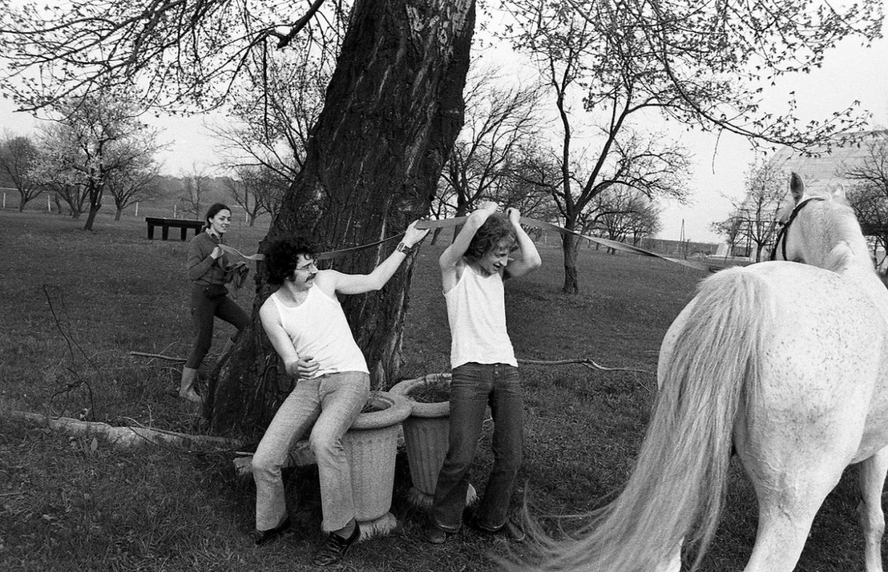 Večne zelená pošta