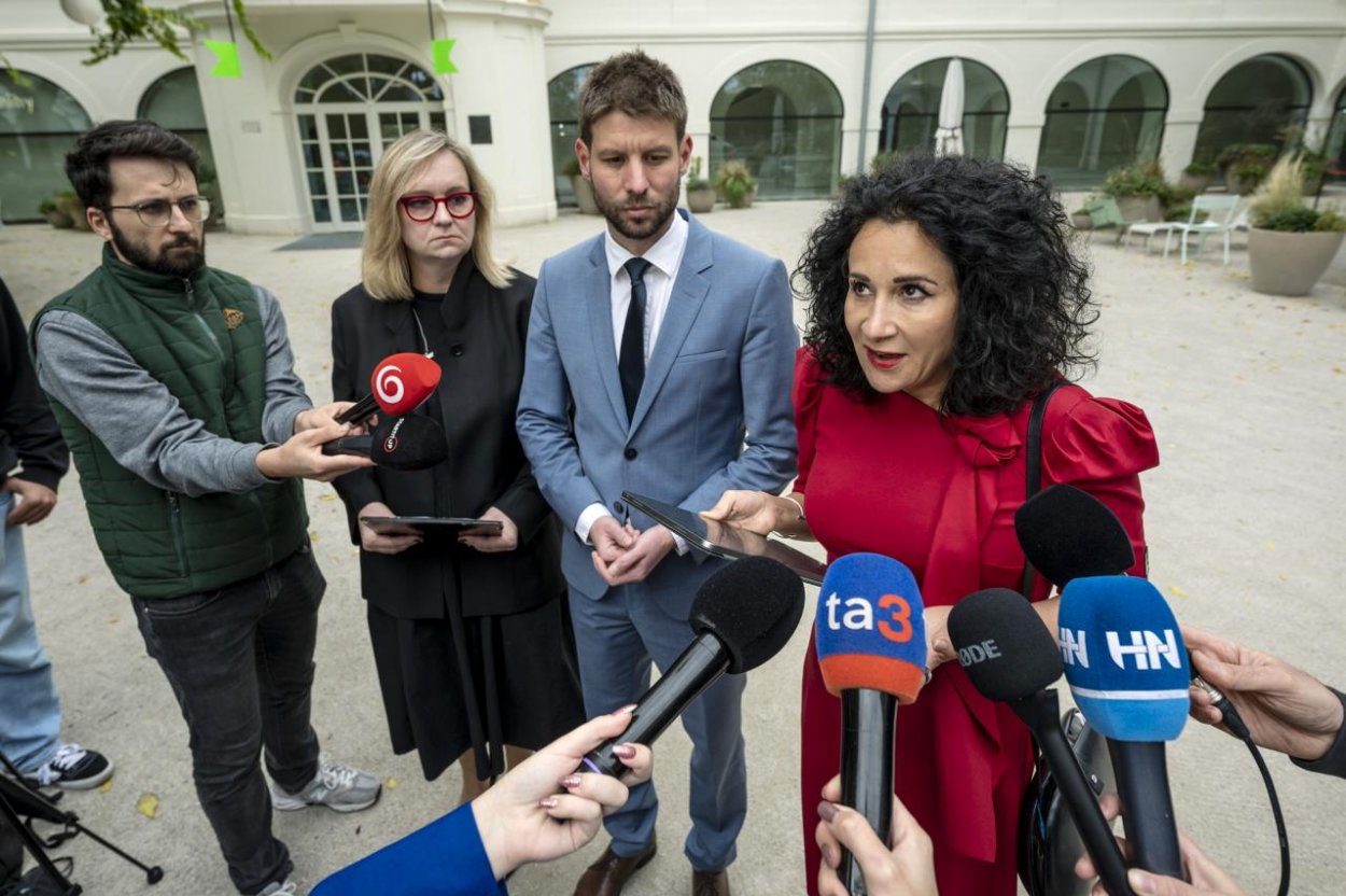 Jaurová: Je neprípustné, aby funkčné a transparentné schémy nahradil Tipos