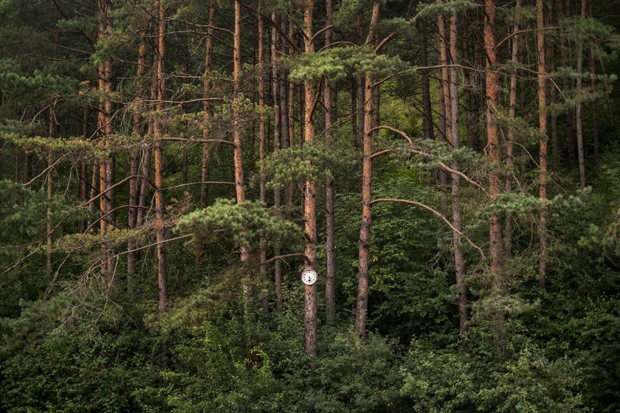 Mať smartfón nestačí