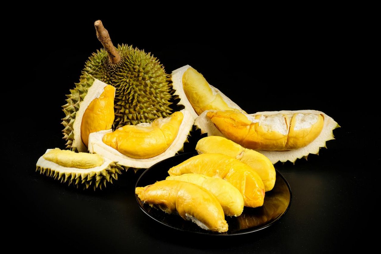 Kráľ ovocia, Durian