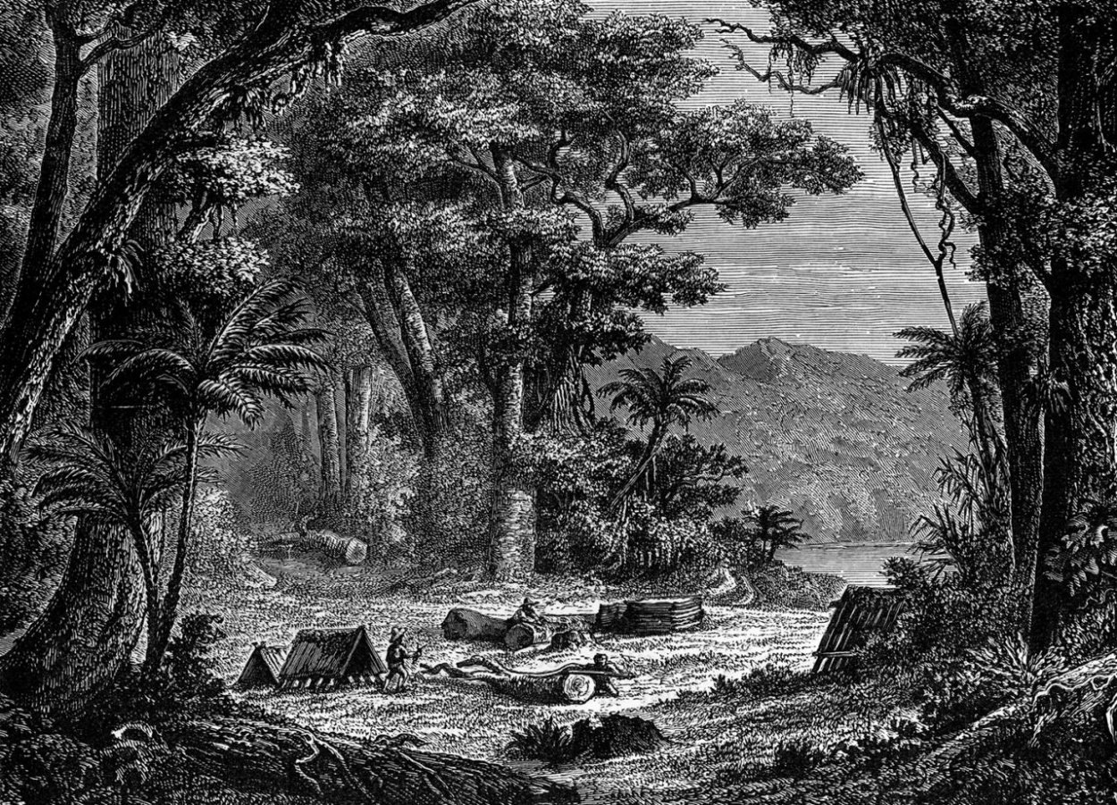 Chinín nad zlato: Liečba malárie v historických súvislostiach