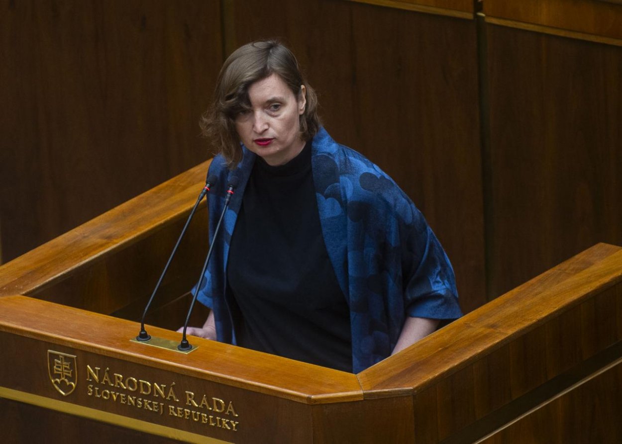 Zákon o štátnom občianstve je podľa PS nedostatočný, podáva preto podnet na ÚS